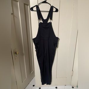 The Great Fantastic Sweatpants/Overalls